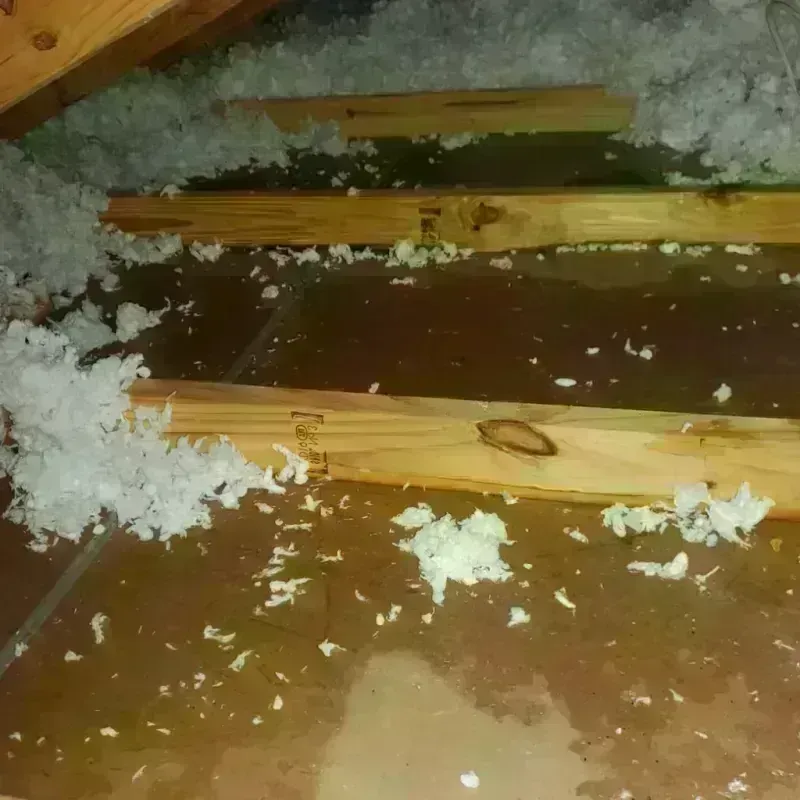 Attic Water Damage in Cane Savannah, SC