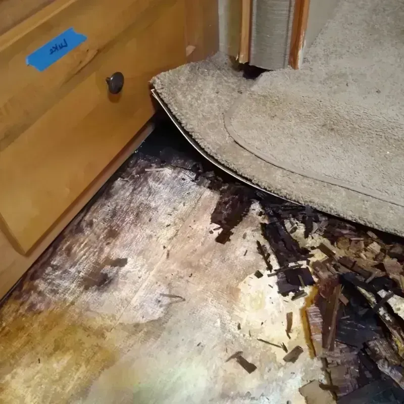 Wood Floor Water Damage in Cane Savannah, SC